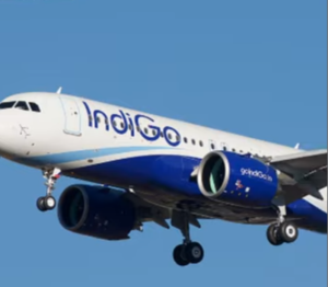indigo