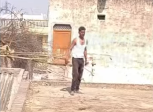hff